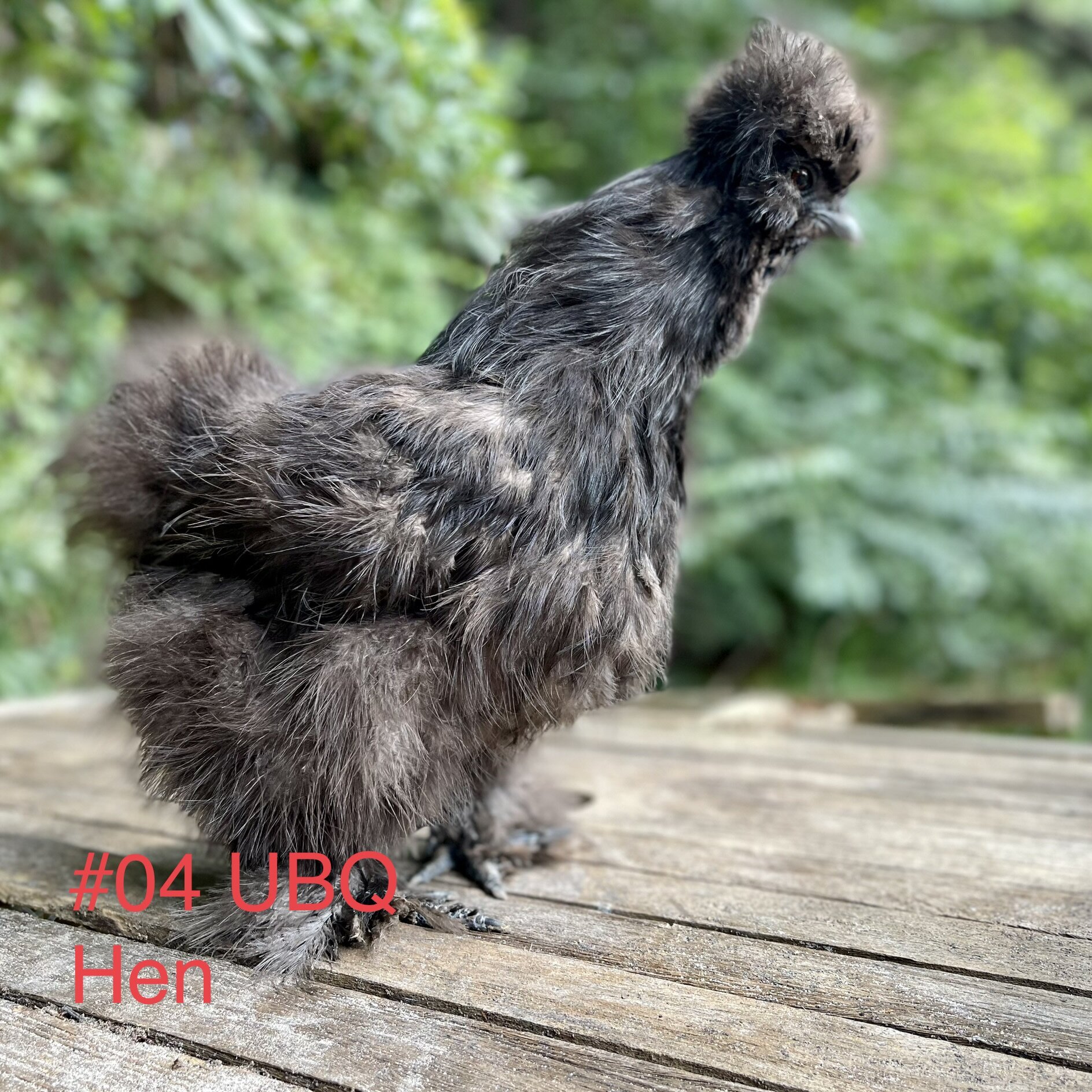 C49EA739-E63B-48F2-BA3A-75ABFC4750F4