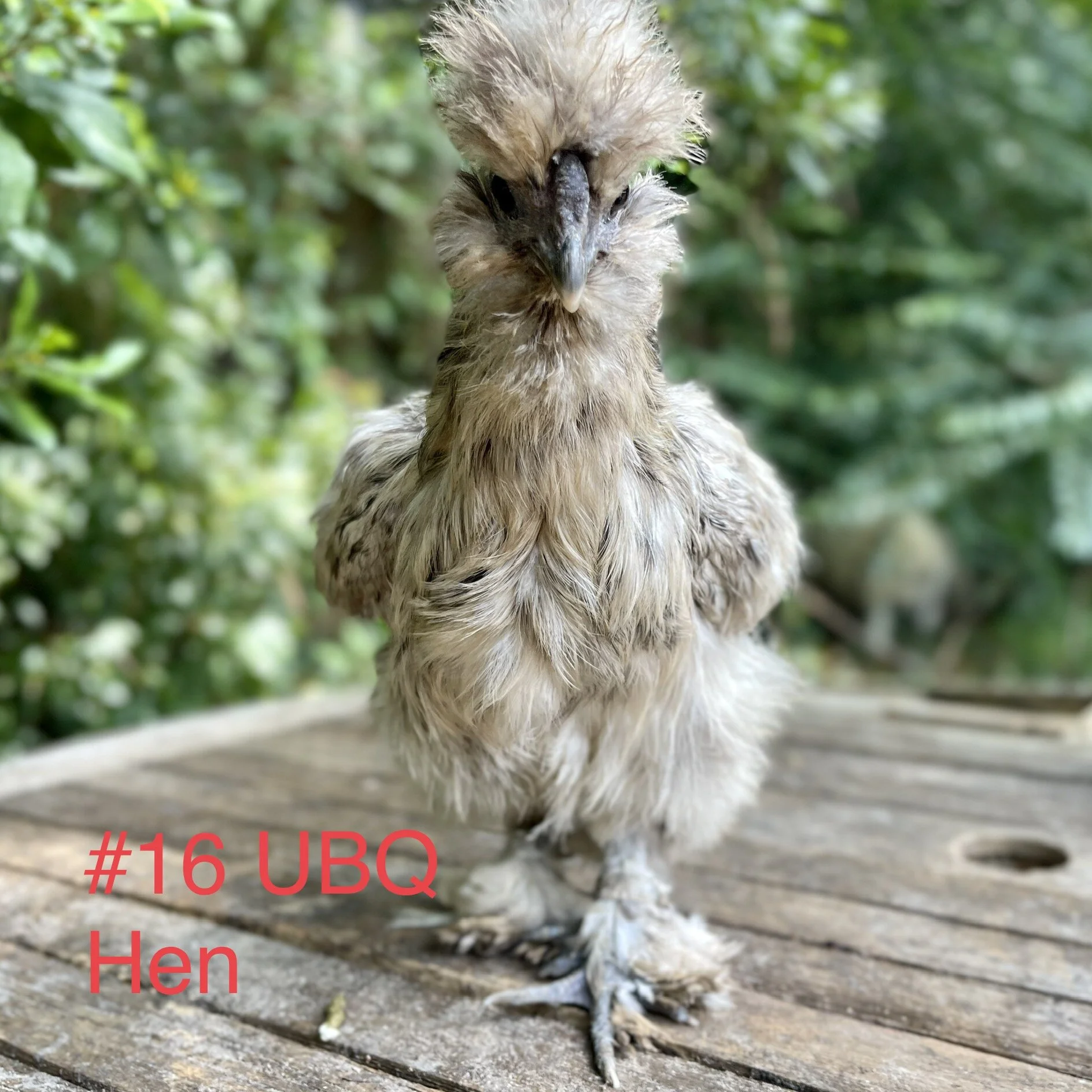 B1BEAE7A-C9C9-479D-8ECB-204EAB2E5006