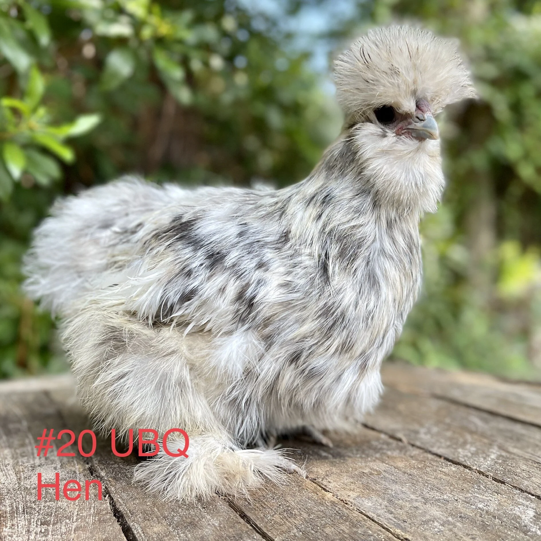 9EA4B8F1-1E79-49F9-9F56-3C04523BD8F9