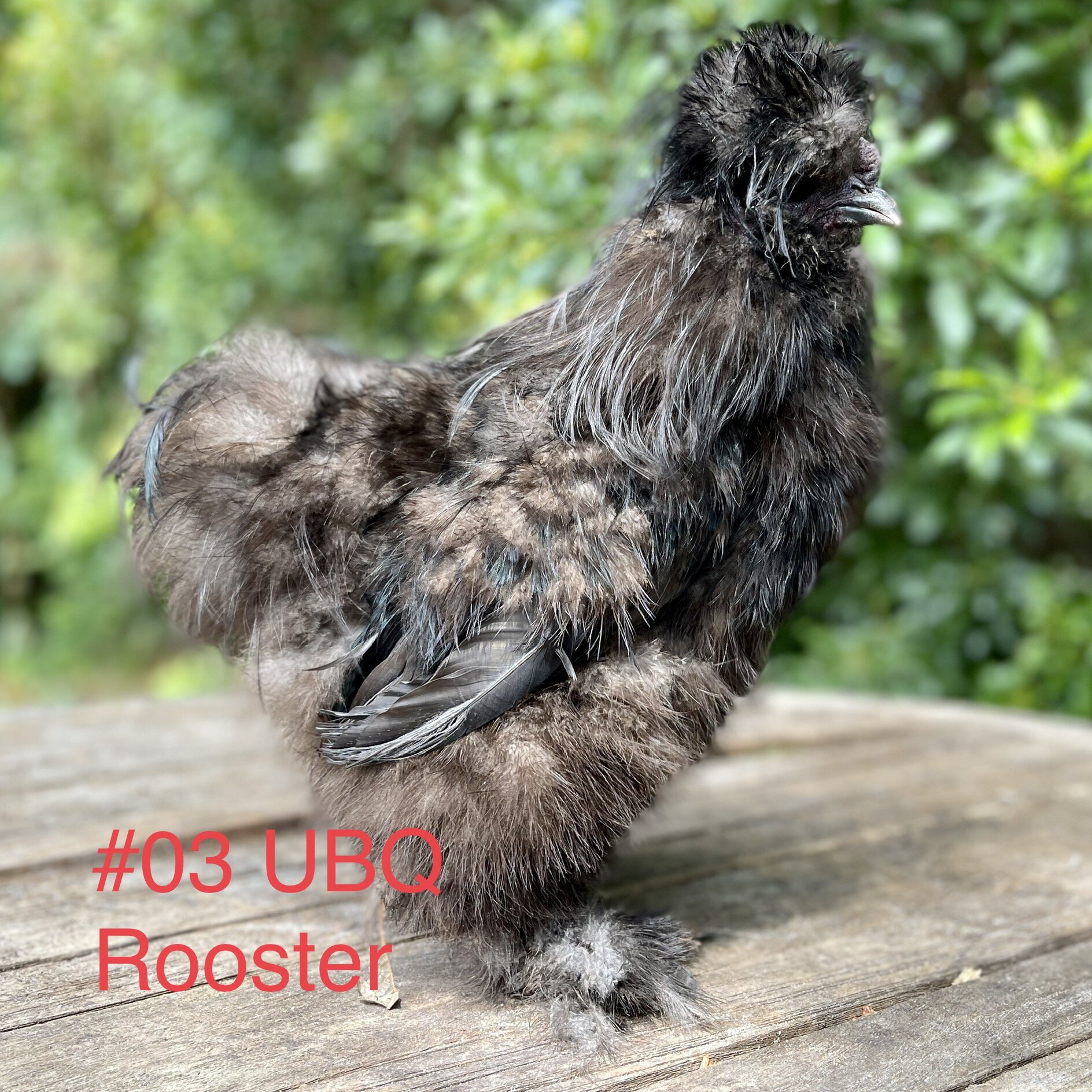 6C1597ED-91FF-4BEF-9D14-EF1478A92B66