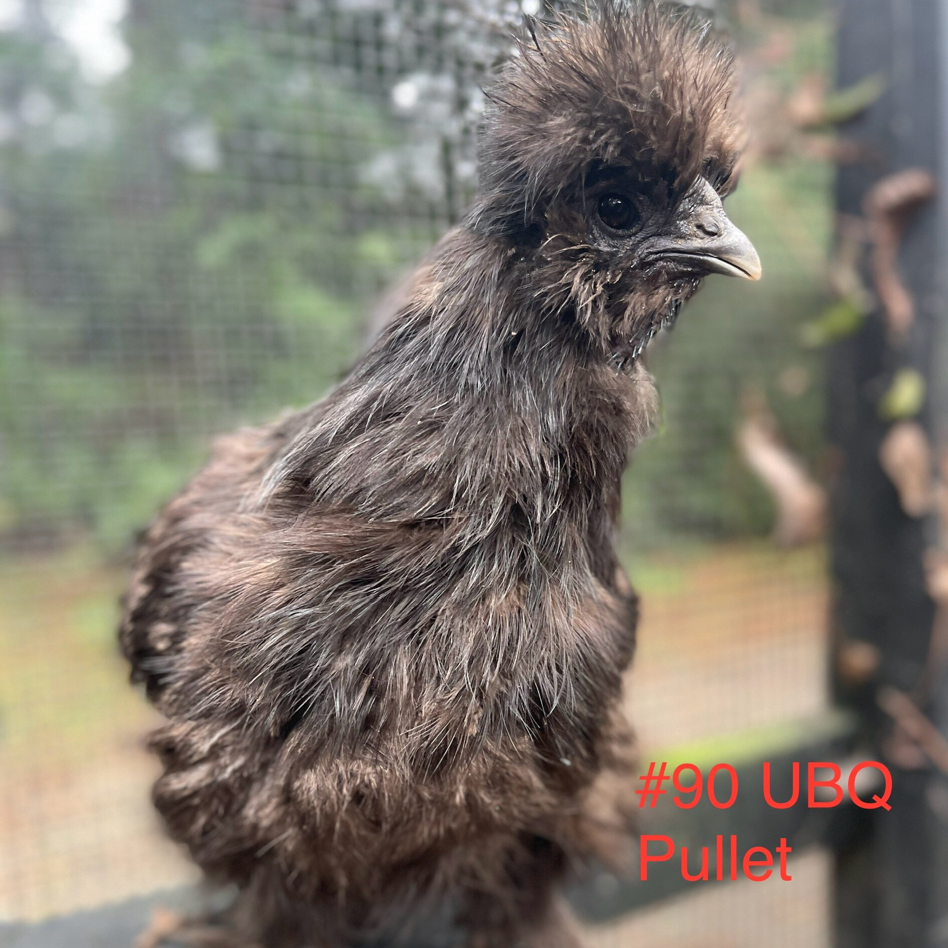 9BDD29A4-EA12-4E80-AC3B-BED352773AA2