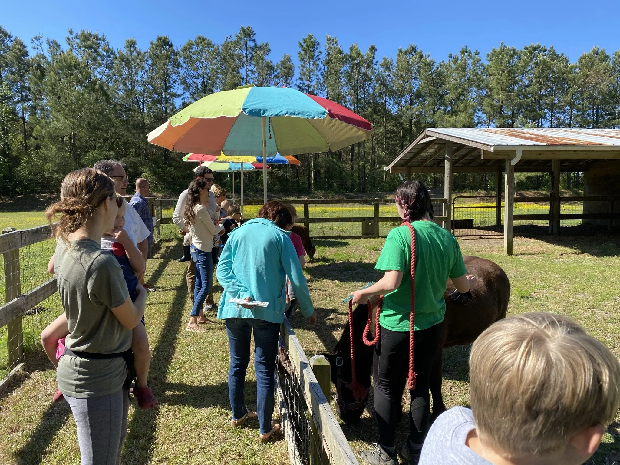 Open Farm Day Spring 2024