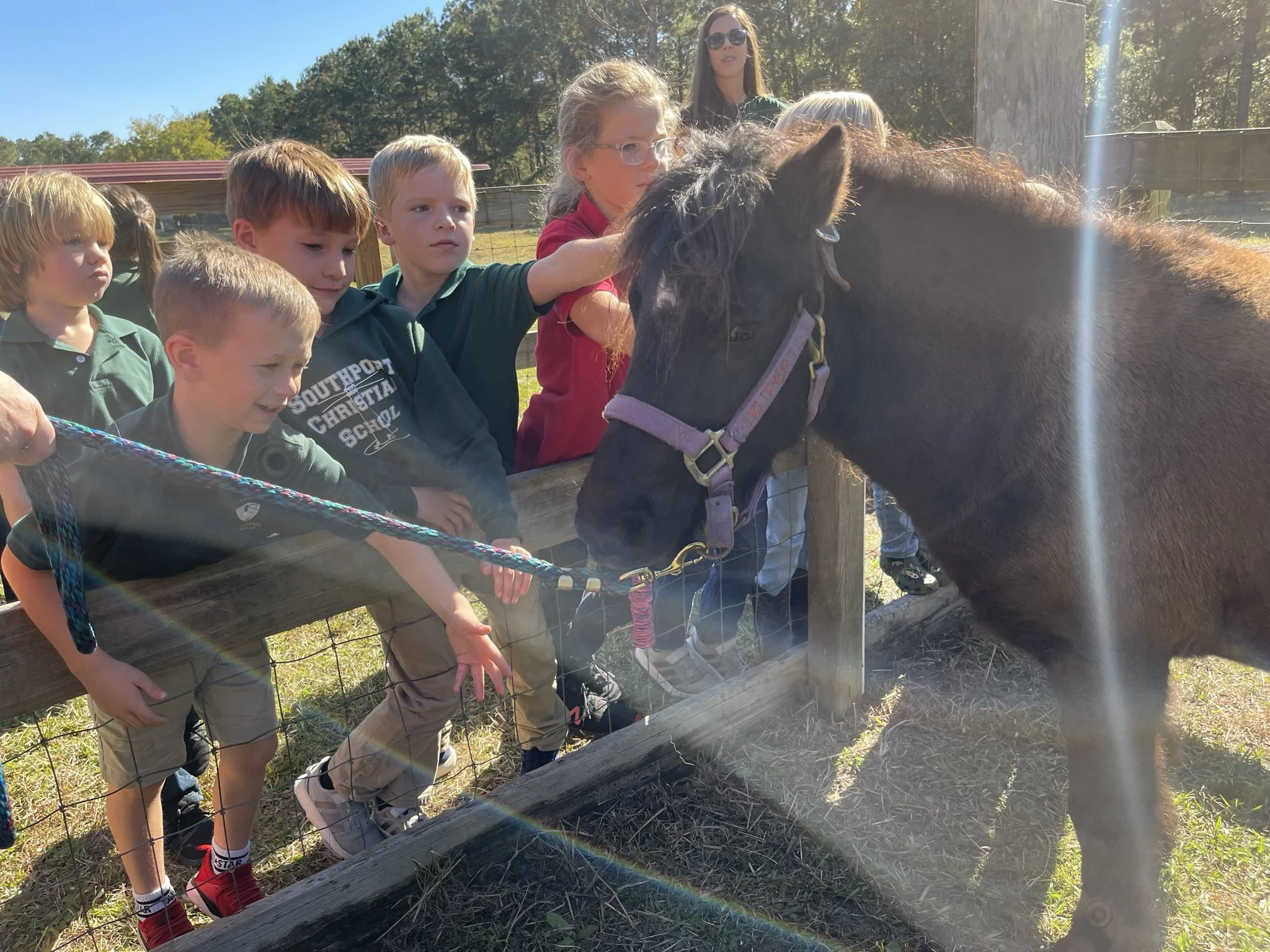 Open Farm Day Fall 2024