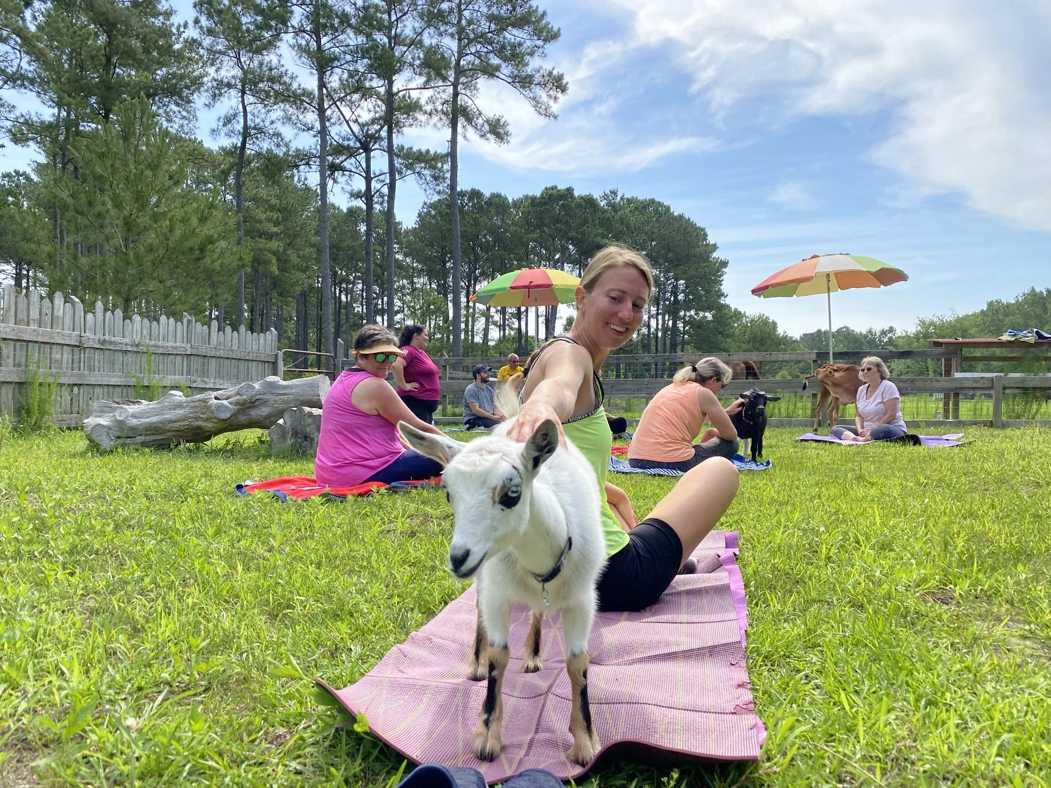 HOOF Farm Yoga - November