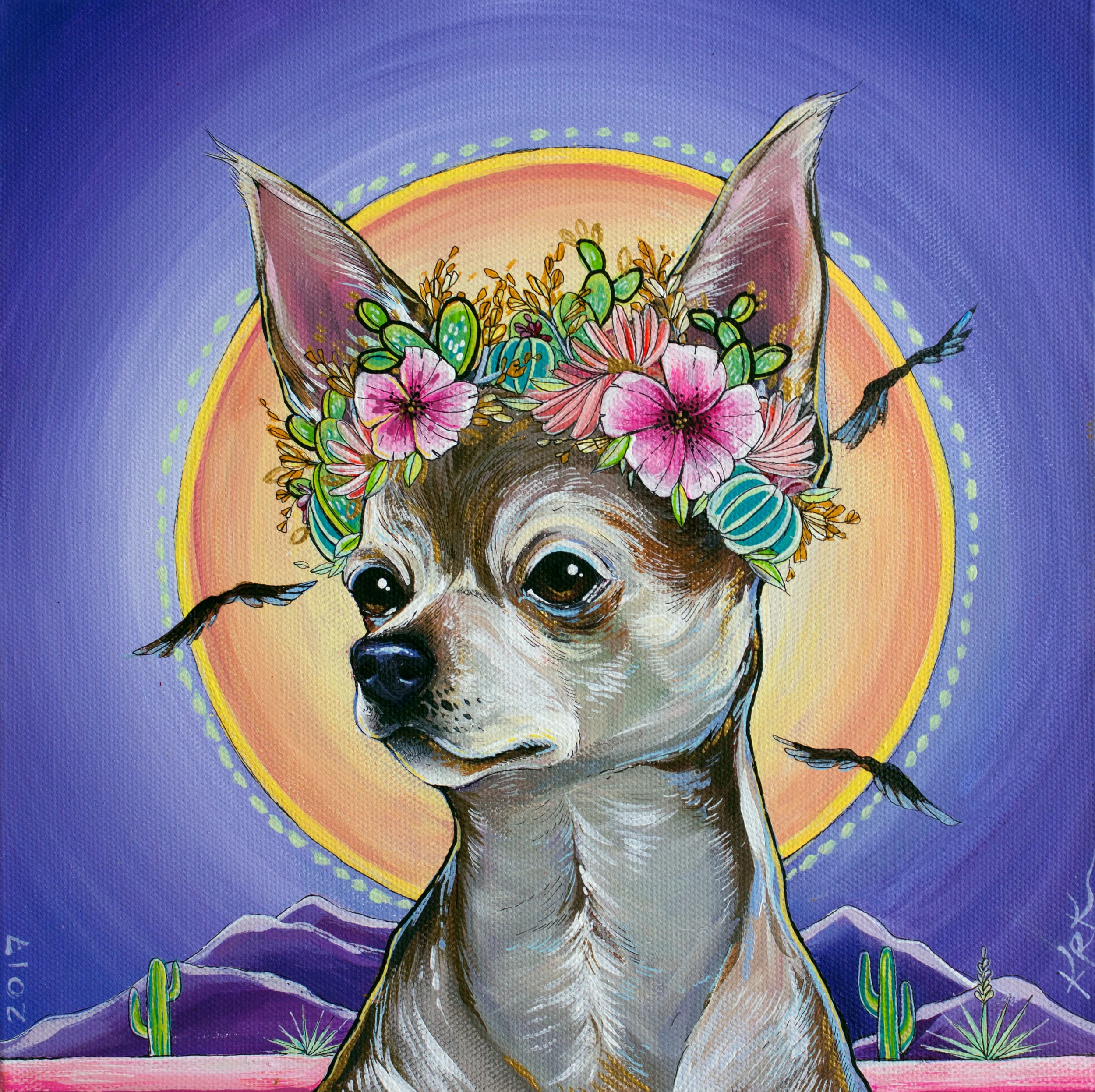 "Chihuahua Queen"
