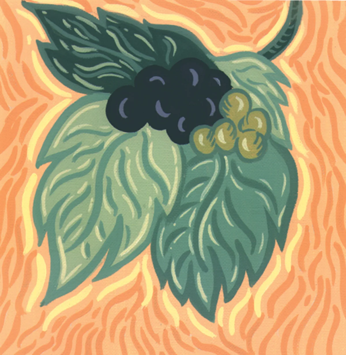 'Grape Leaves'