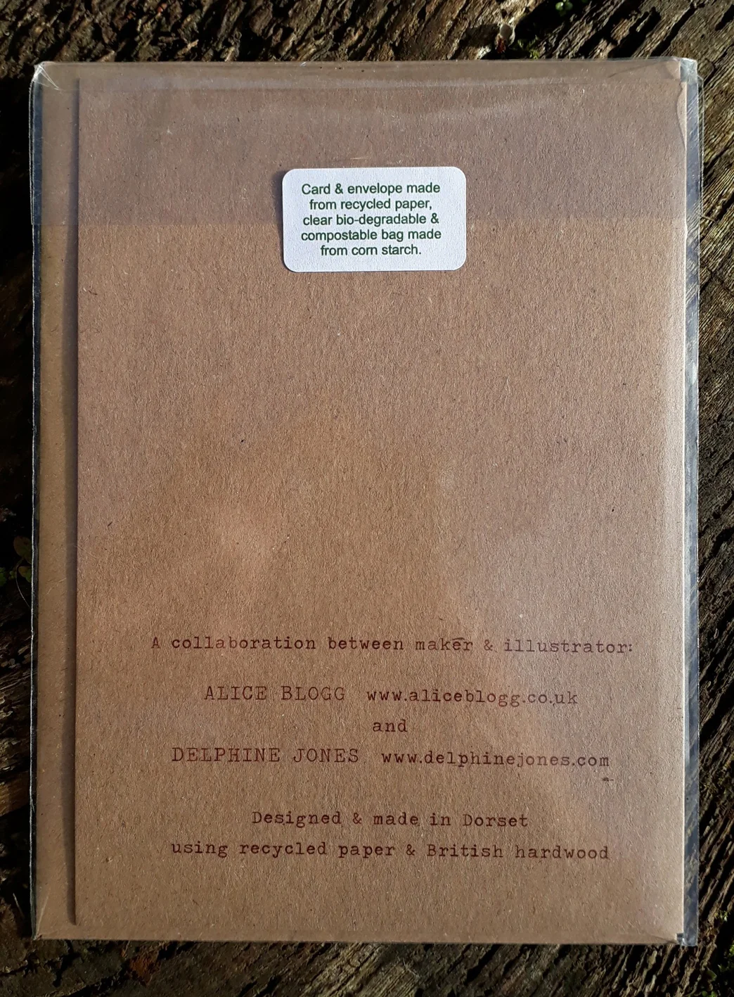 card back.jpg