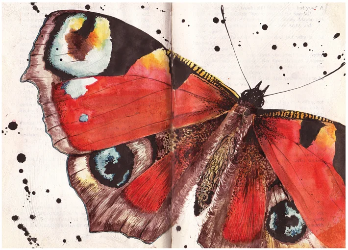 peacock card web.jpg