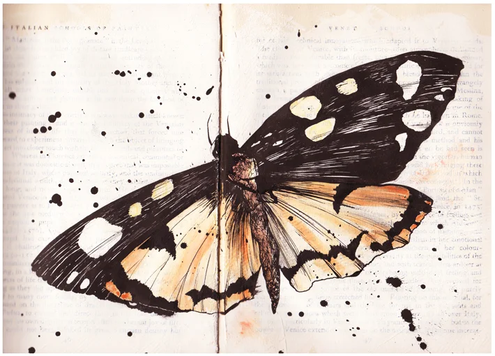 tiger moth card web.jpg