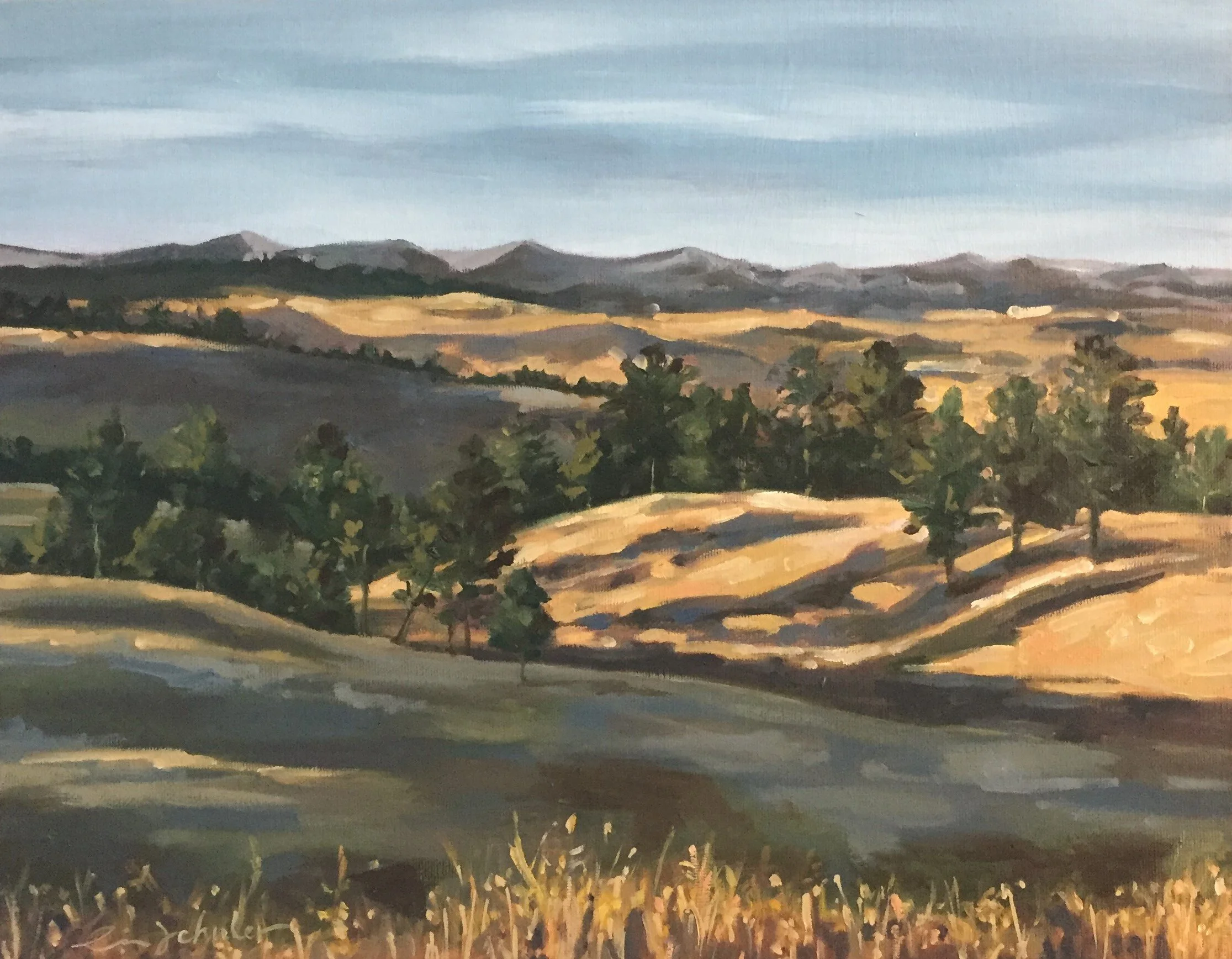  10” x 8” // Oil on Canvas  SOLD 