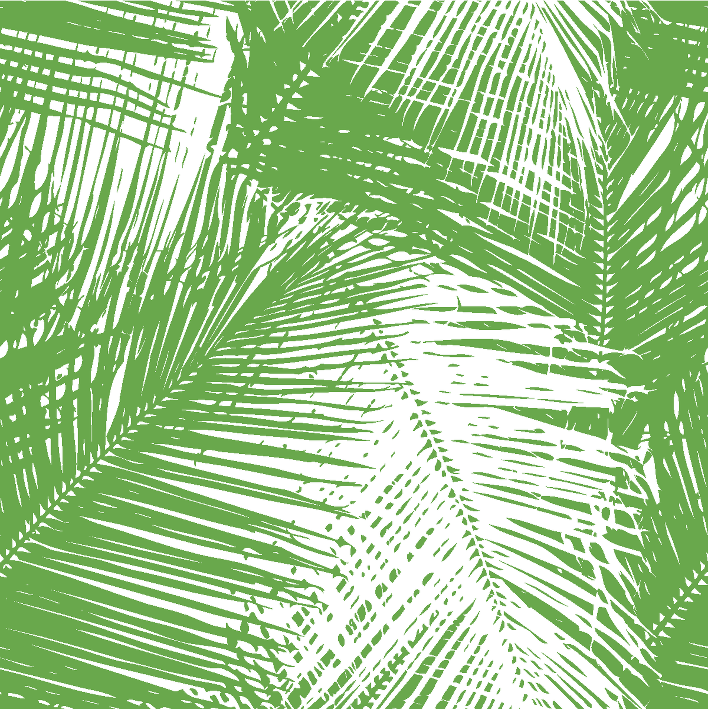 palms.png