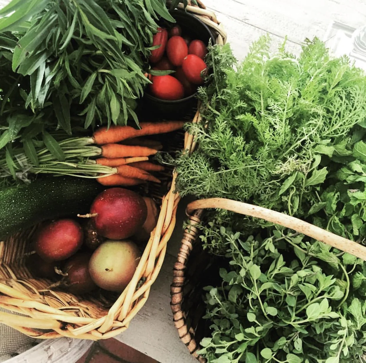 Chef Marcela's harvest from her garden
