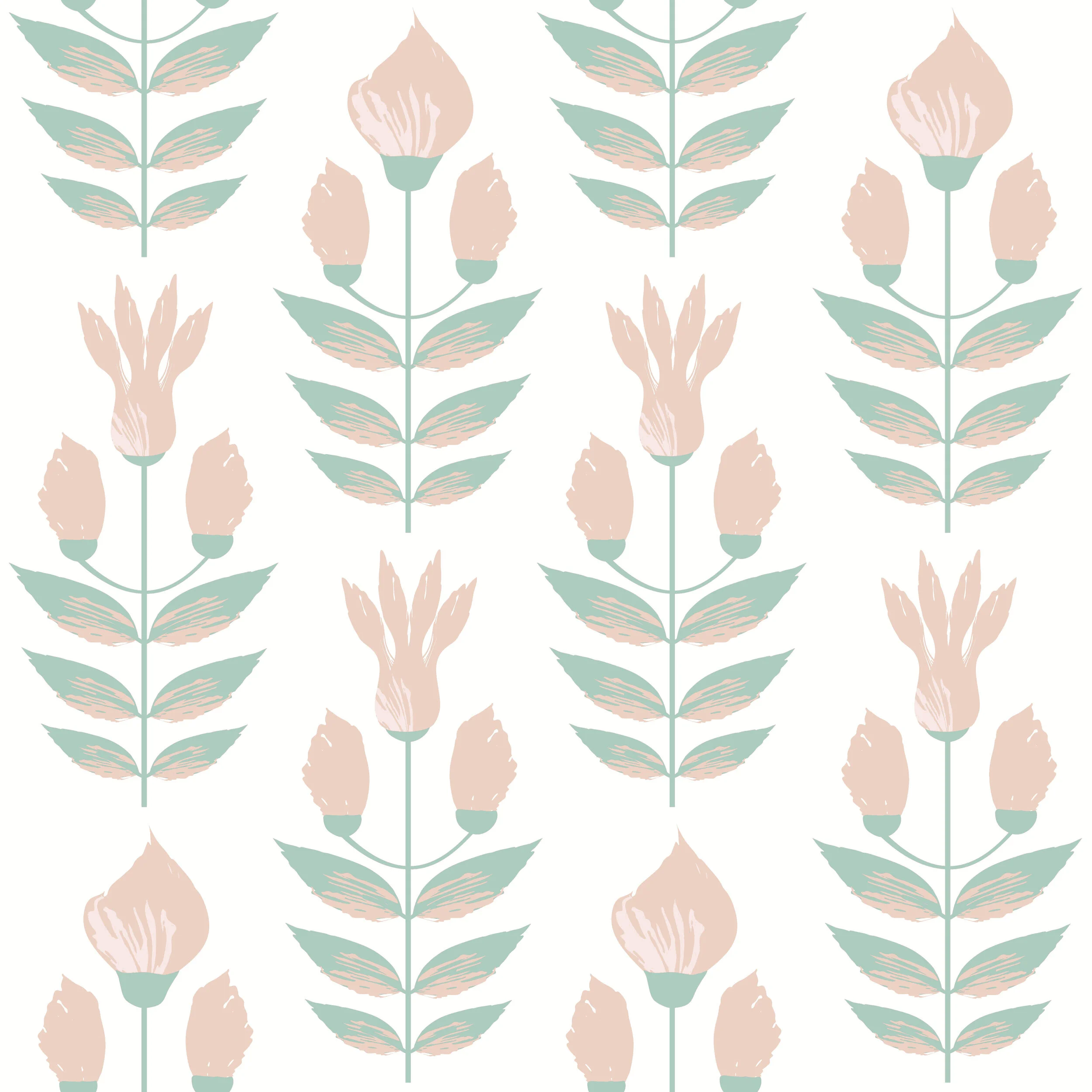 tulipblush.jpg