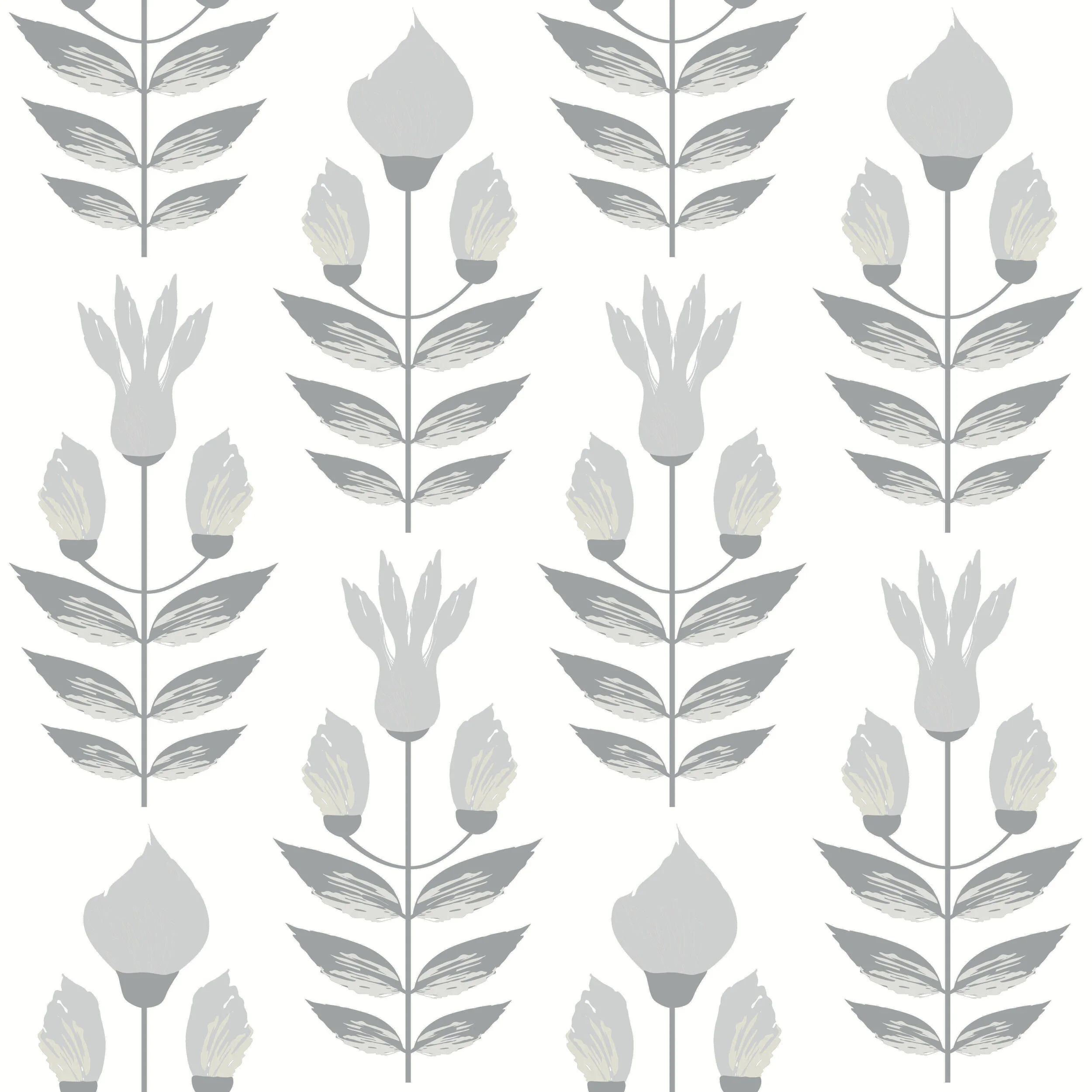 tulipgray.jpg