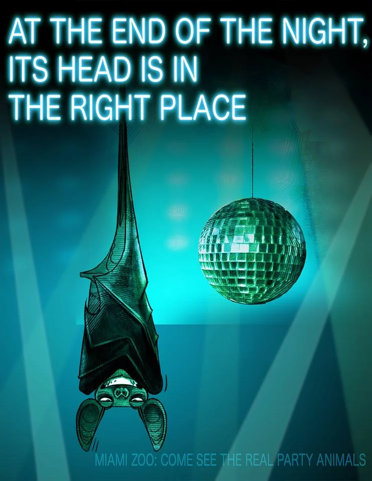 new mzoo bat .jpg