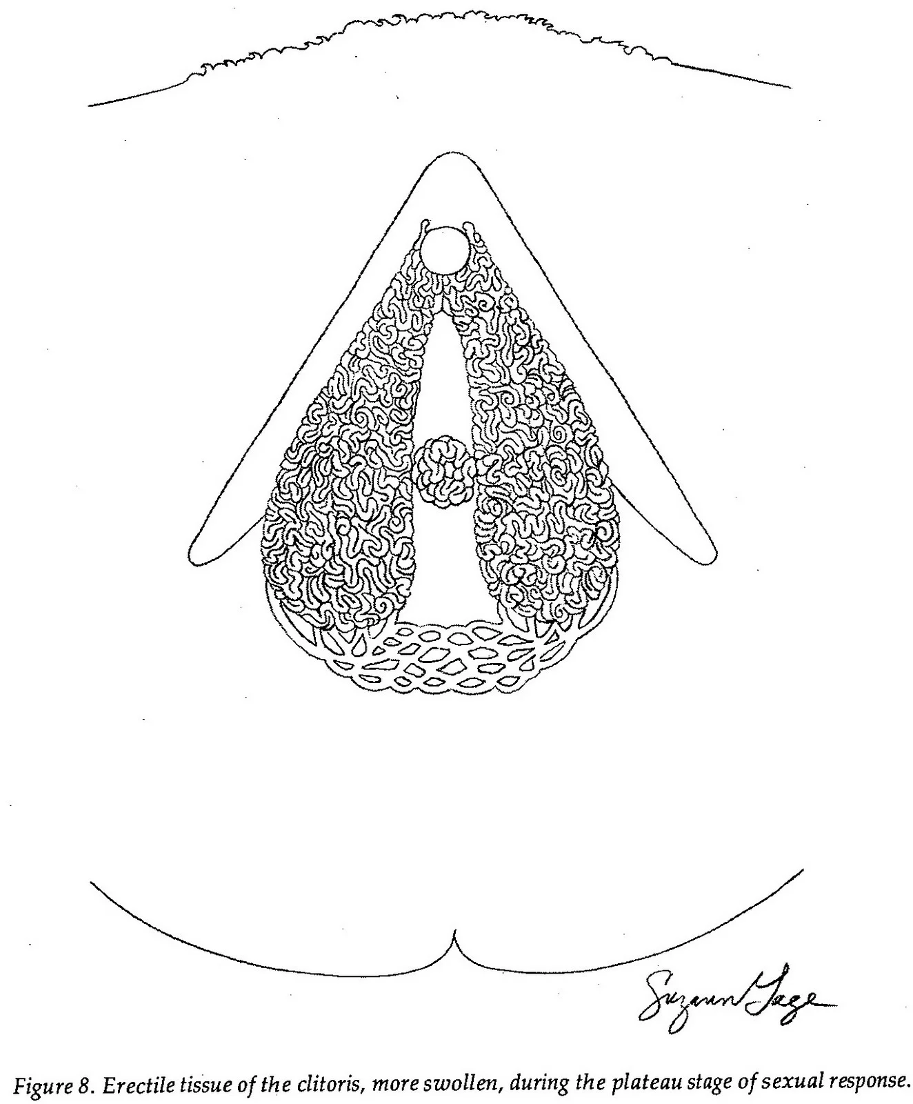 Coloring Page, Carol Downer 2011