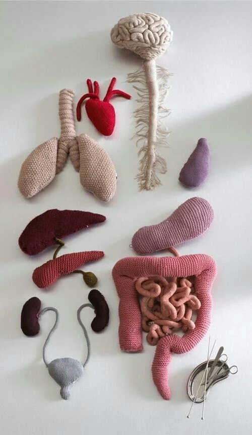 crotched+organs.jpg