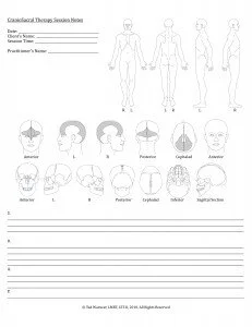 CST-Session-Notes3-231x300.jpg