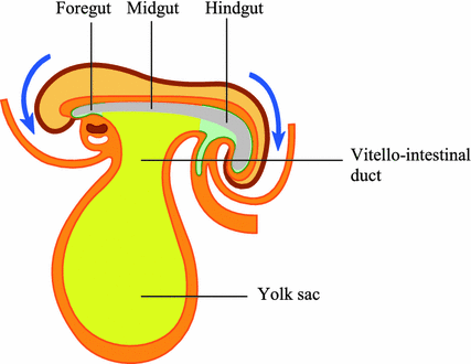 439244_1_En_6_Fig3_HTML.gif