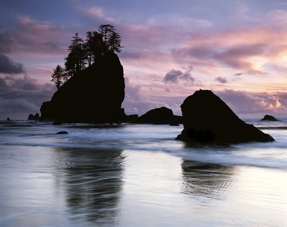 Sea Stacks, Washington, 2011
