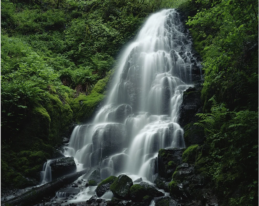 Fairy Falls, Oregon, 2014