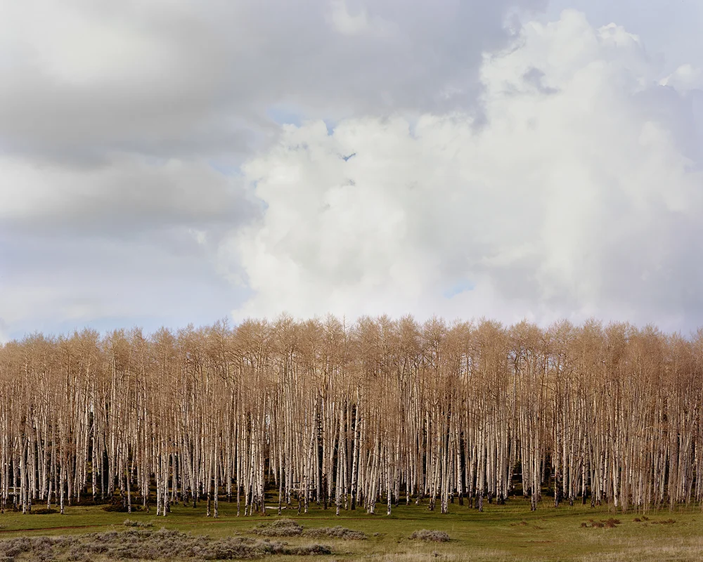 Cumulus above Aspen, Wyoming, 2016