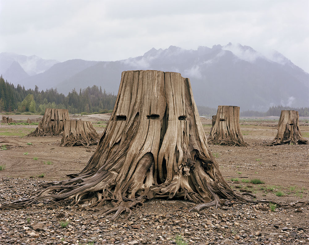 Tree (web).jpg