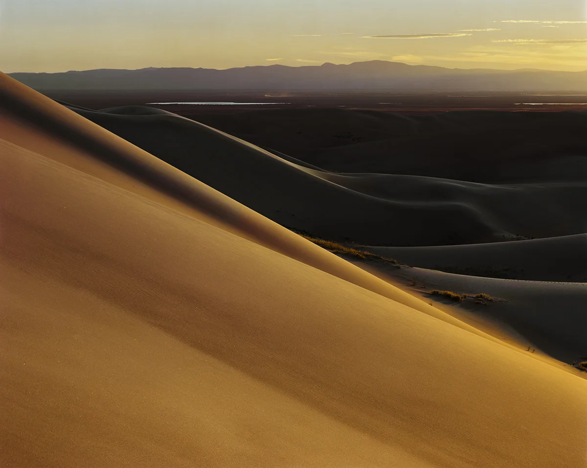 Dune Field (sized for web).jpg