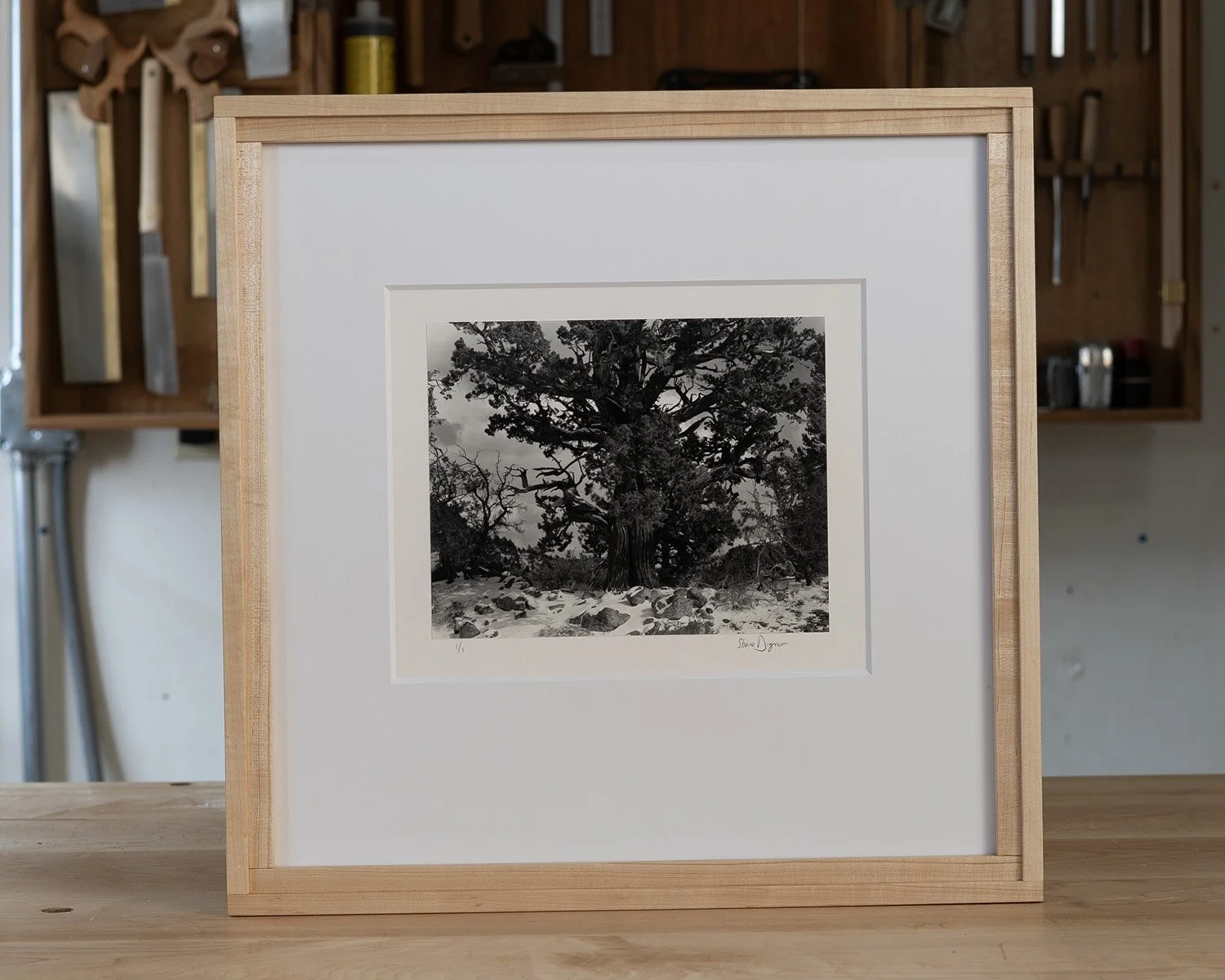 onyx juniper front.jpg