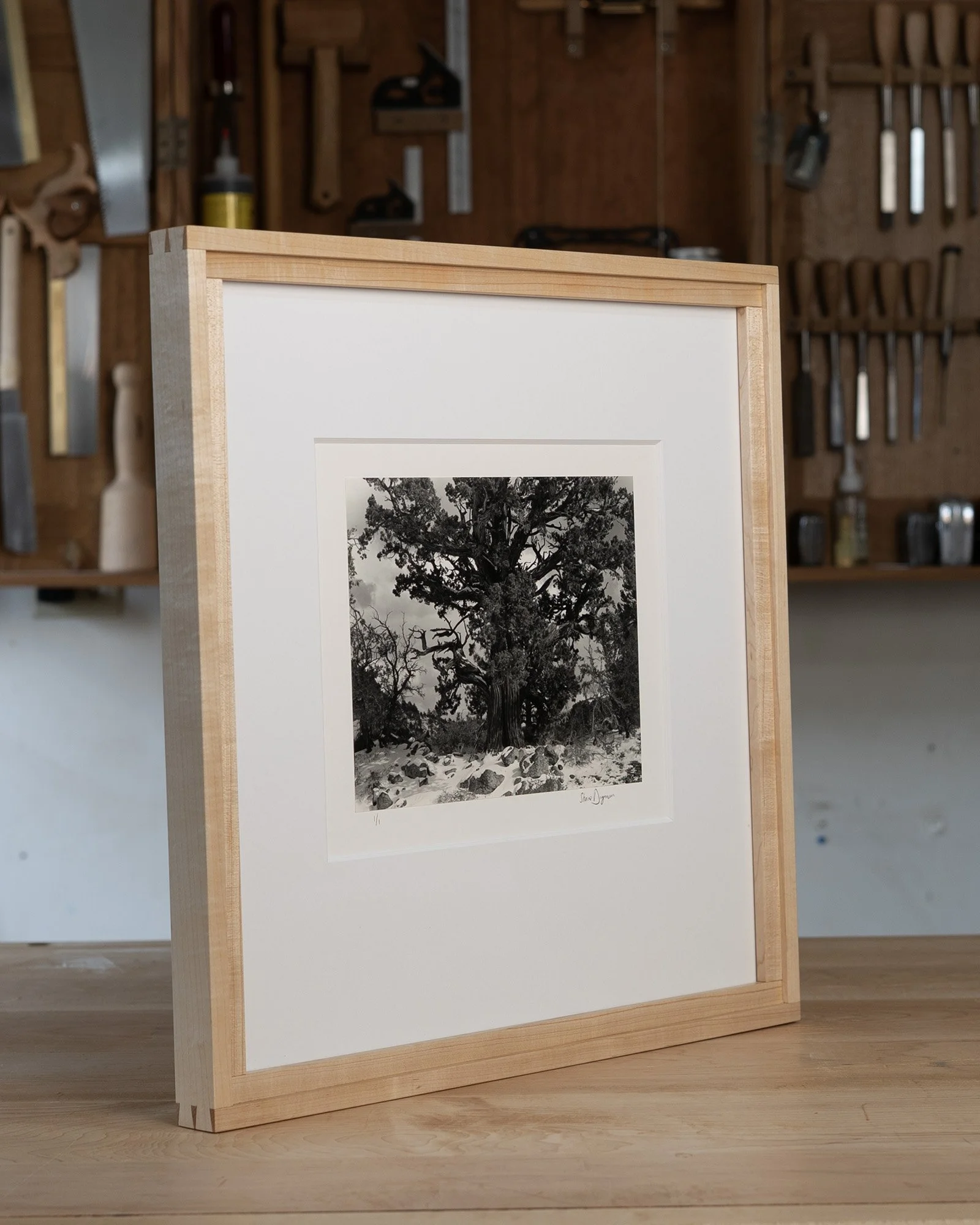 Onyx Juniper Profile.jpg