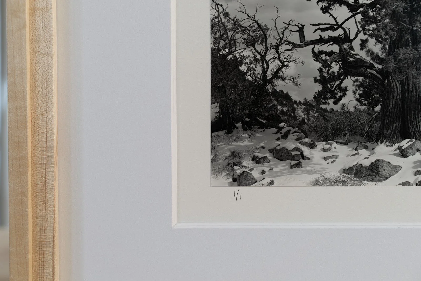 Onyx Juniper 1:1.jpg