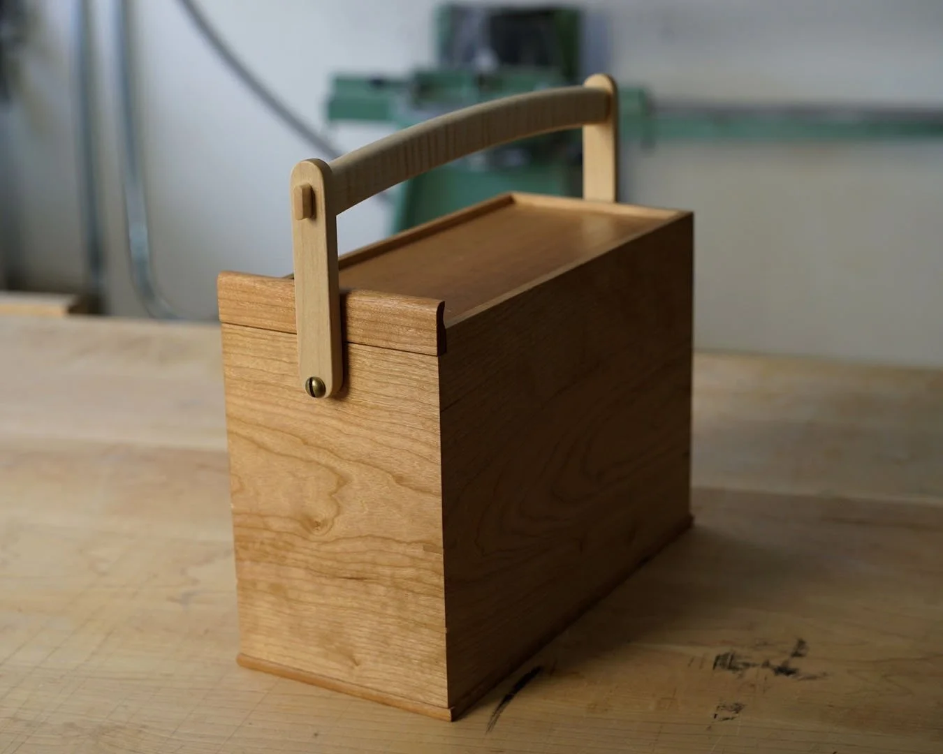 4x5 case 5.jpg