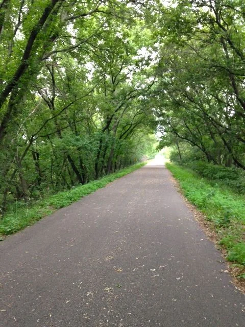 Alexandria path.jpg