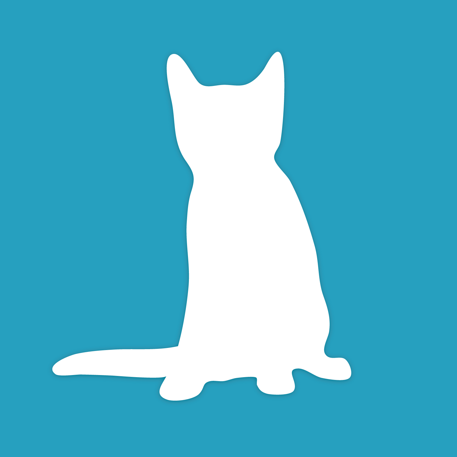 No Cat Boarding Available Due to Construction Until Mid-April