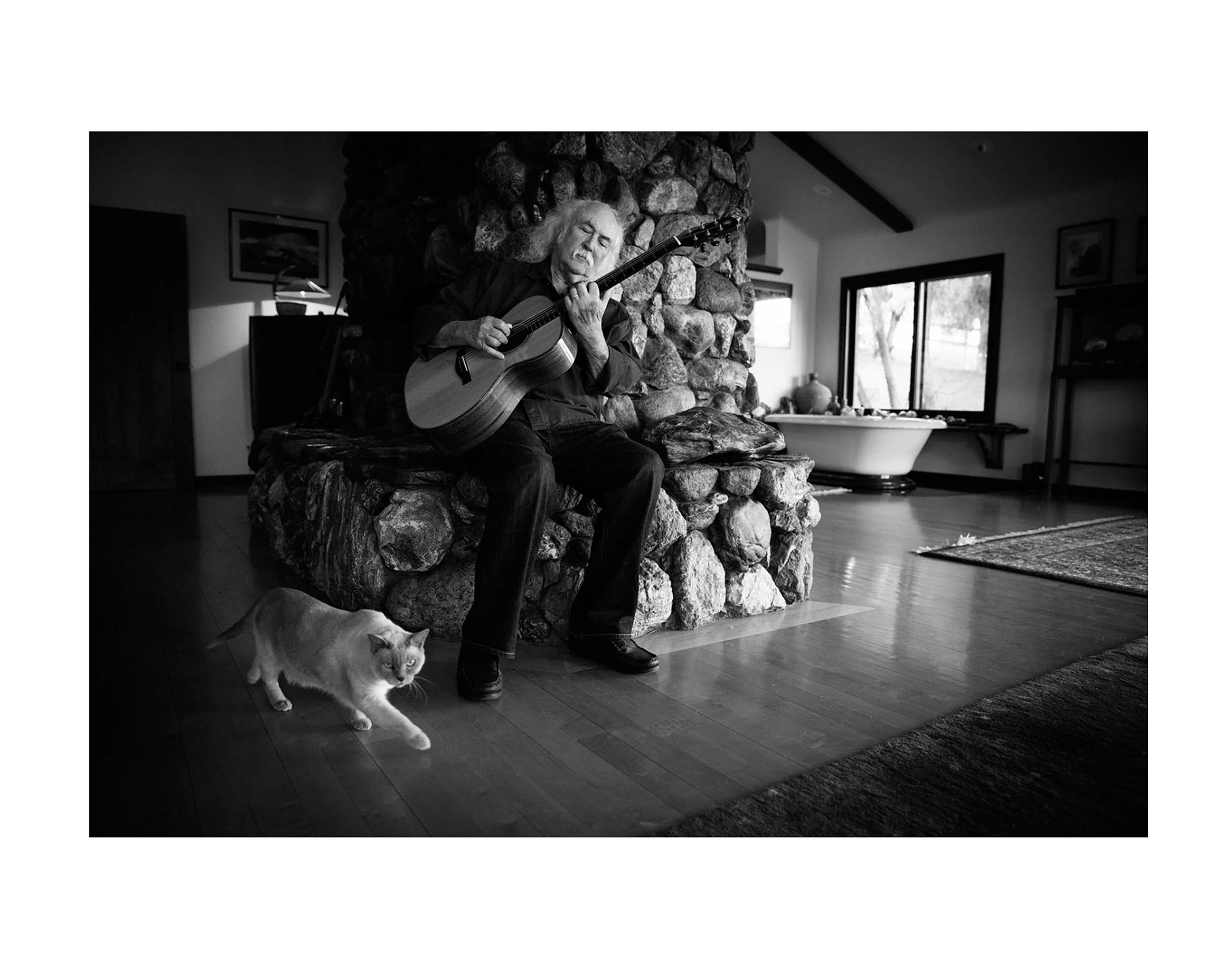 david crosby print copy.jpg