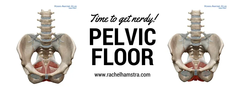Pelvic Floor for Partner Dancers