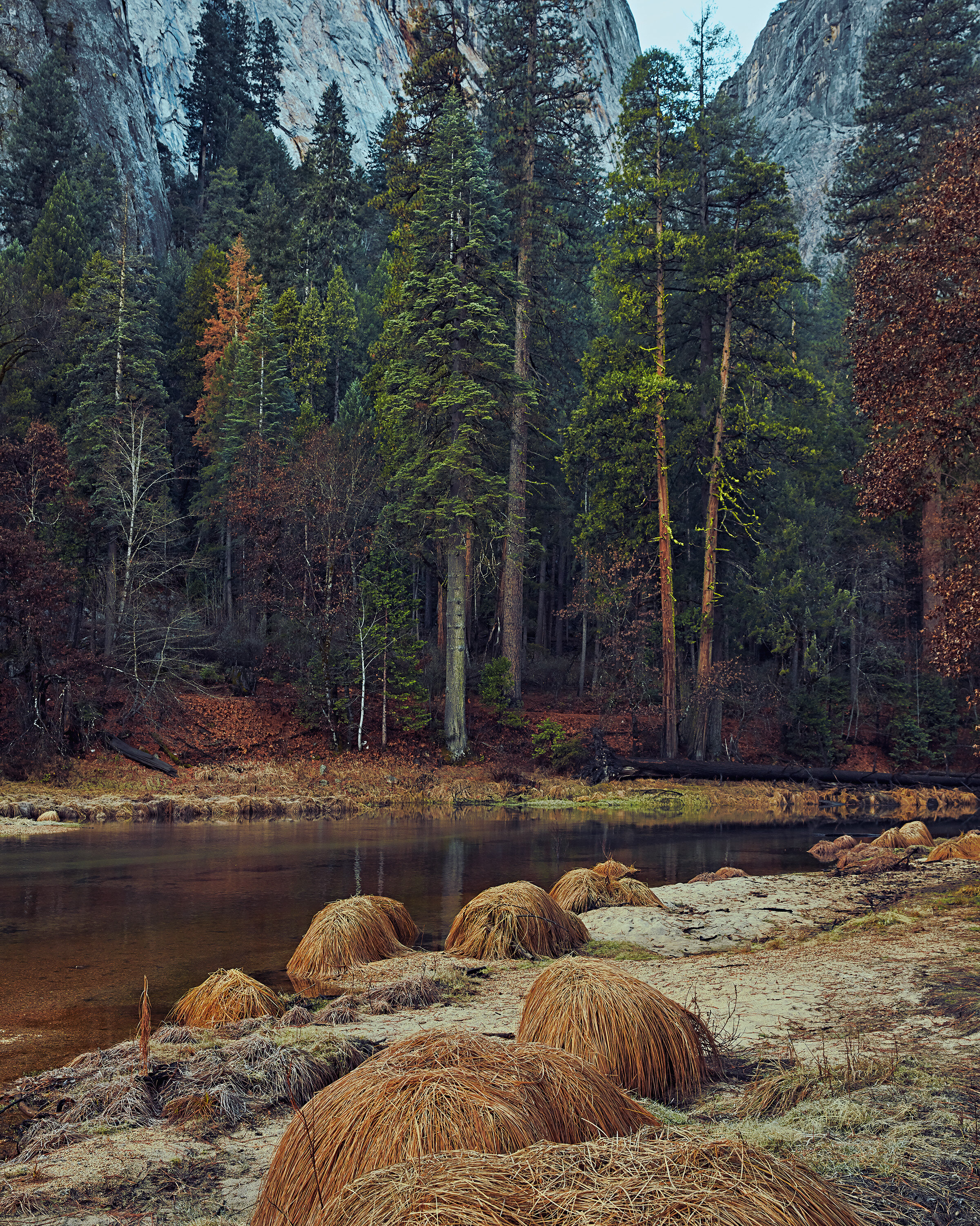 AurelieGraillotStudio_YOSEMITE_WT188882.jpg