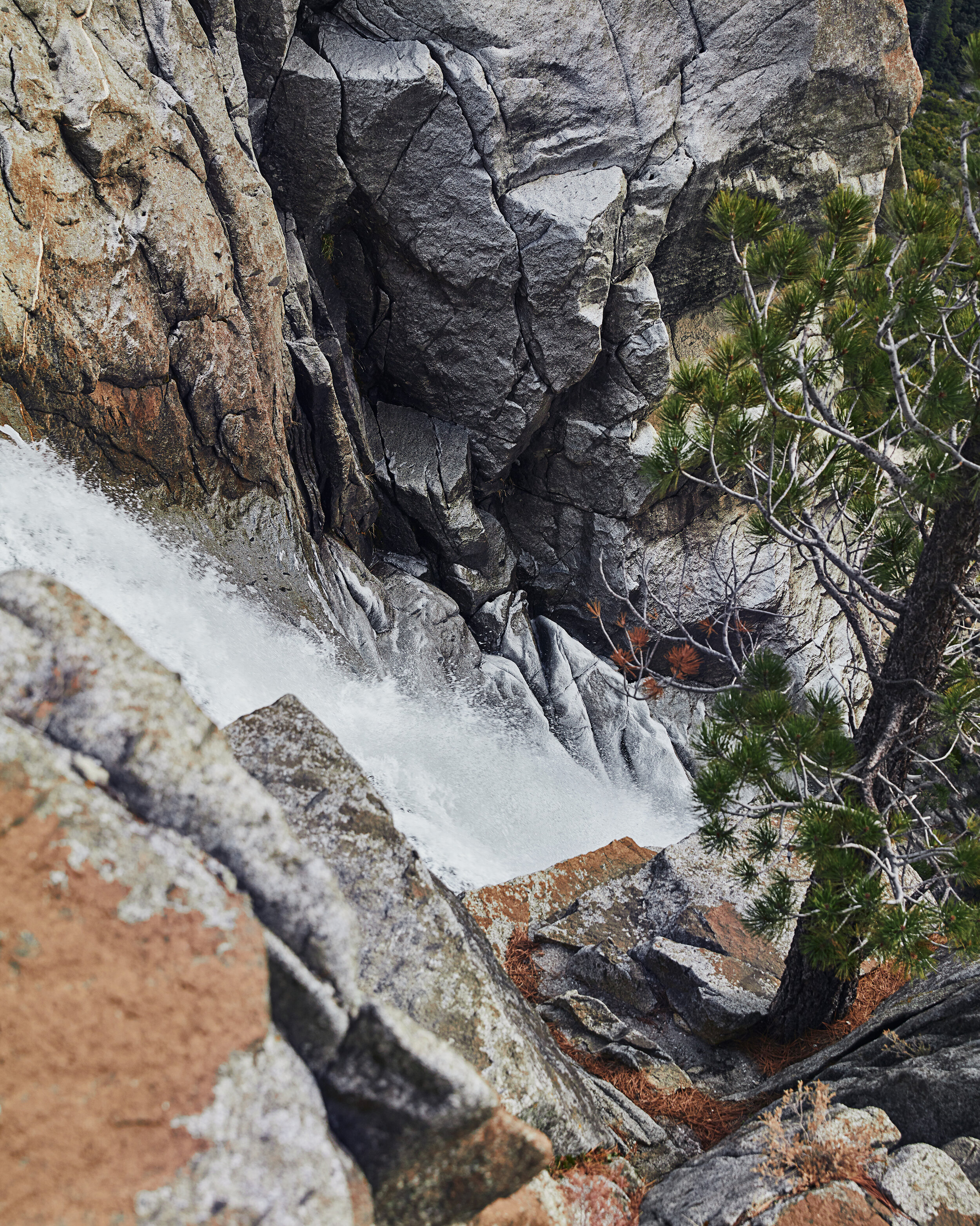 AurelieGraillotStudio_YOSEMITE_WT189583.jpg