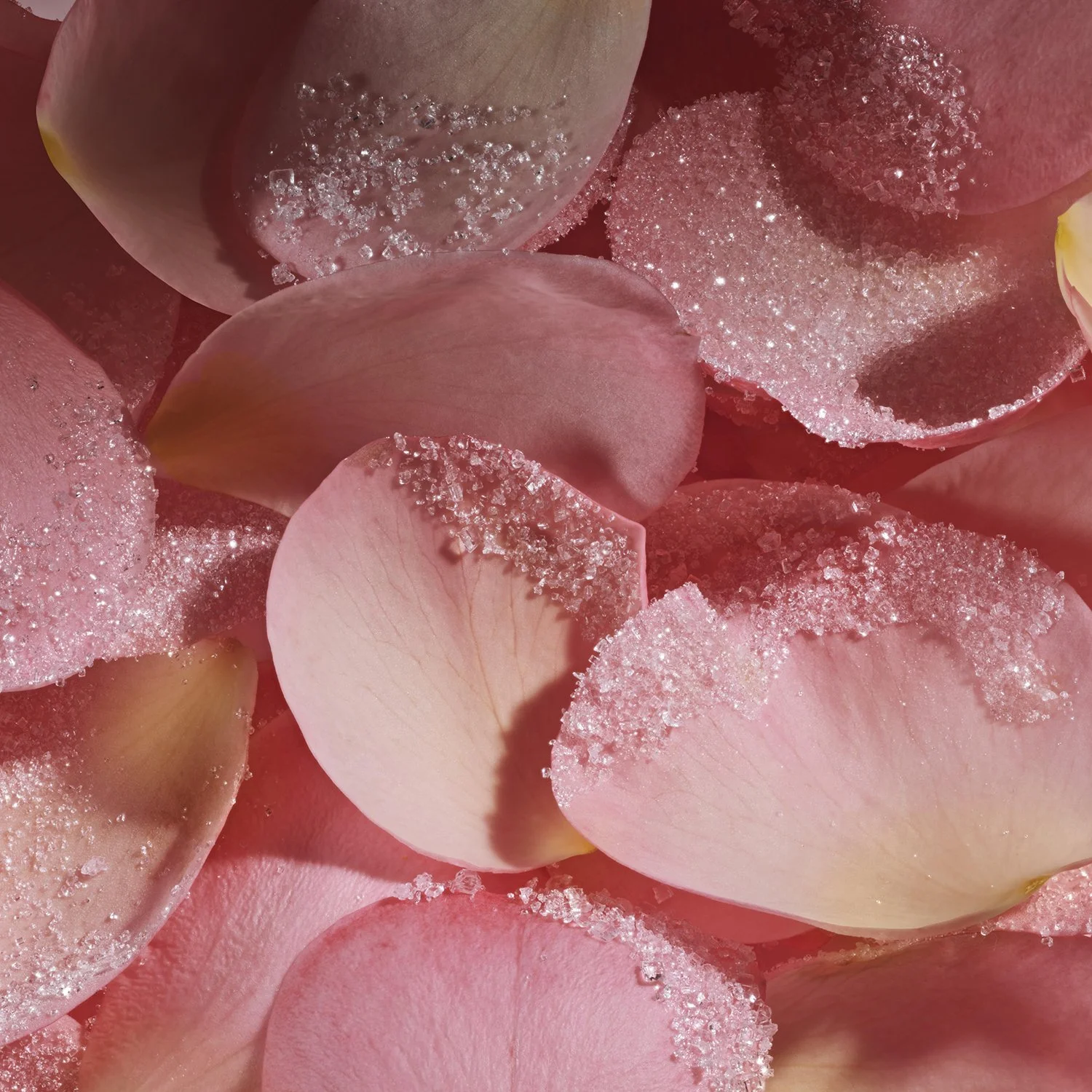 AurelieGraillotStudio_SH10_Macro_Crystalized Rose Petals_219_MAIN.jpg