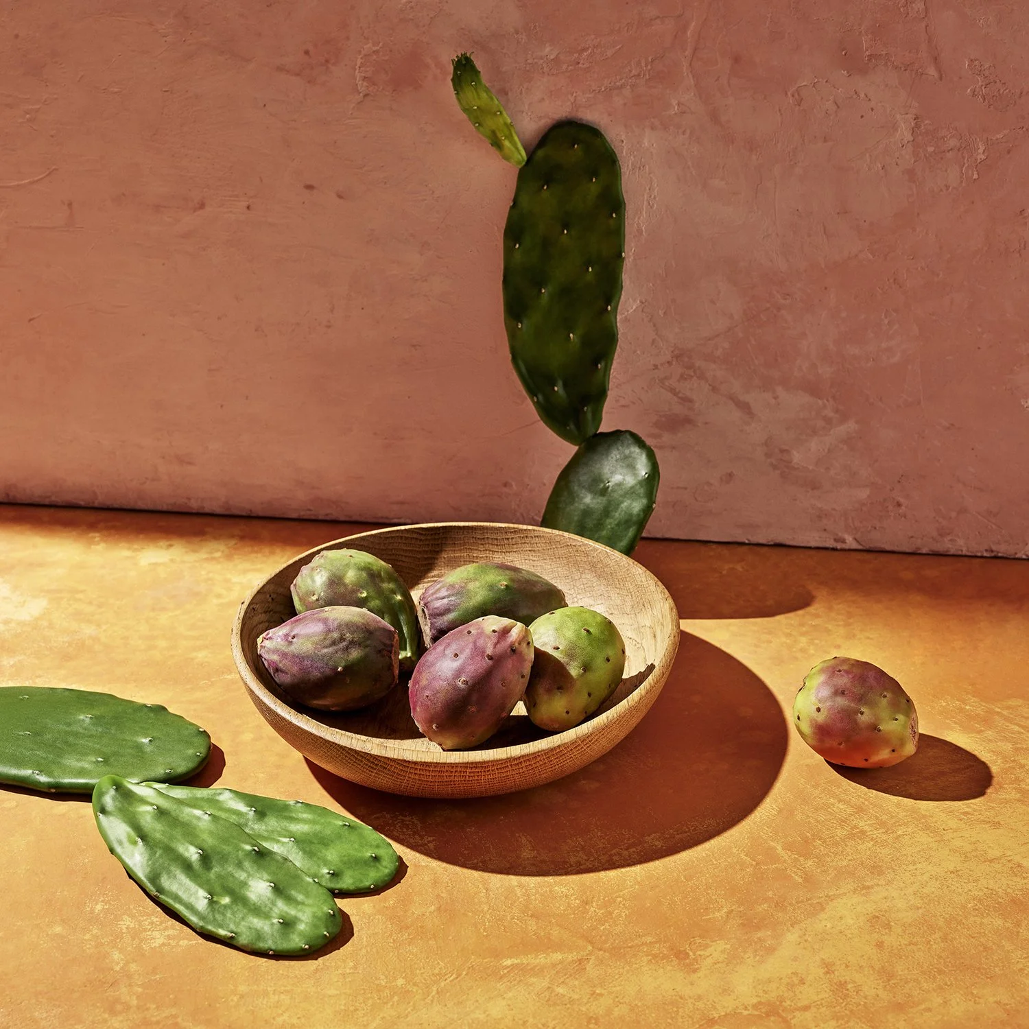AurelieGraillotStudio_SH12_Ingredient_Prickly Pear_0339.jpg
