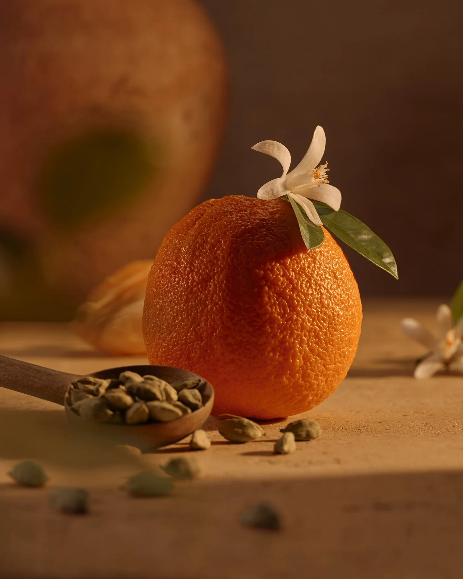 AurelieGraillotStudio_SH16_NC_Neroli Bronze_689_MAIN.jpg