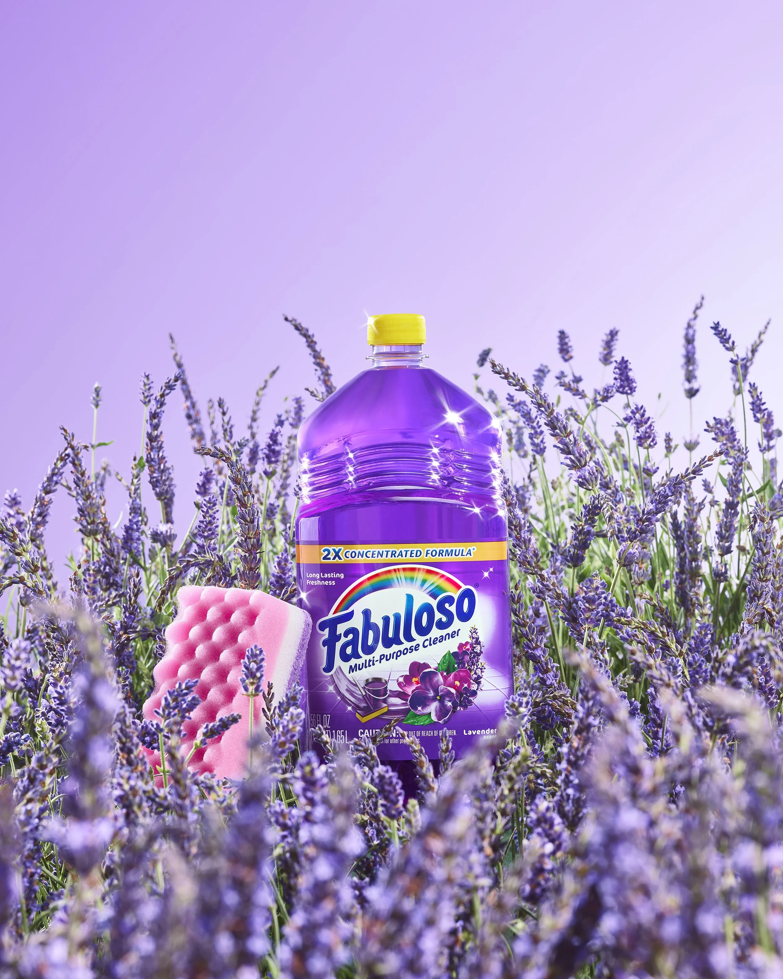 SH09_FAB_Lavender_Field_0909_FIN.jpg