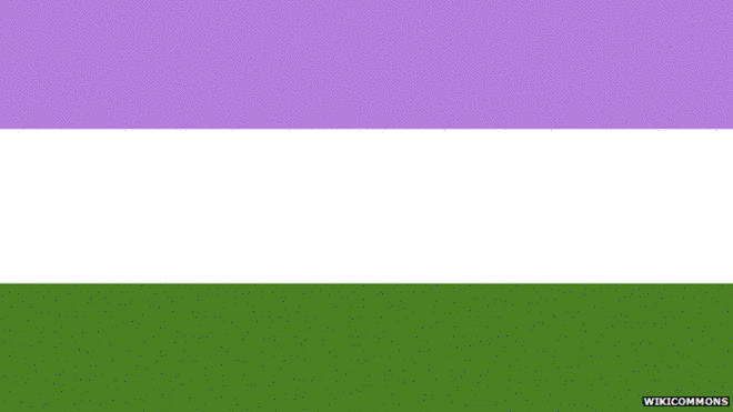 Genderqueer Pride Flag
