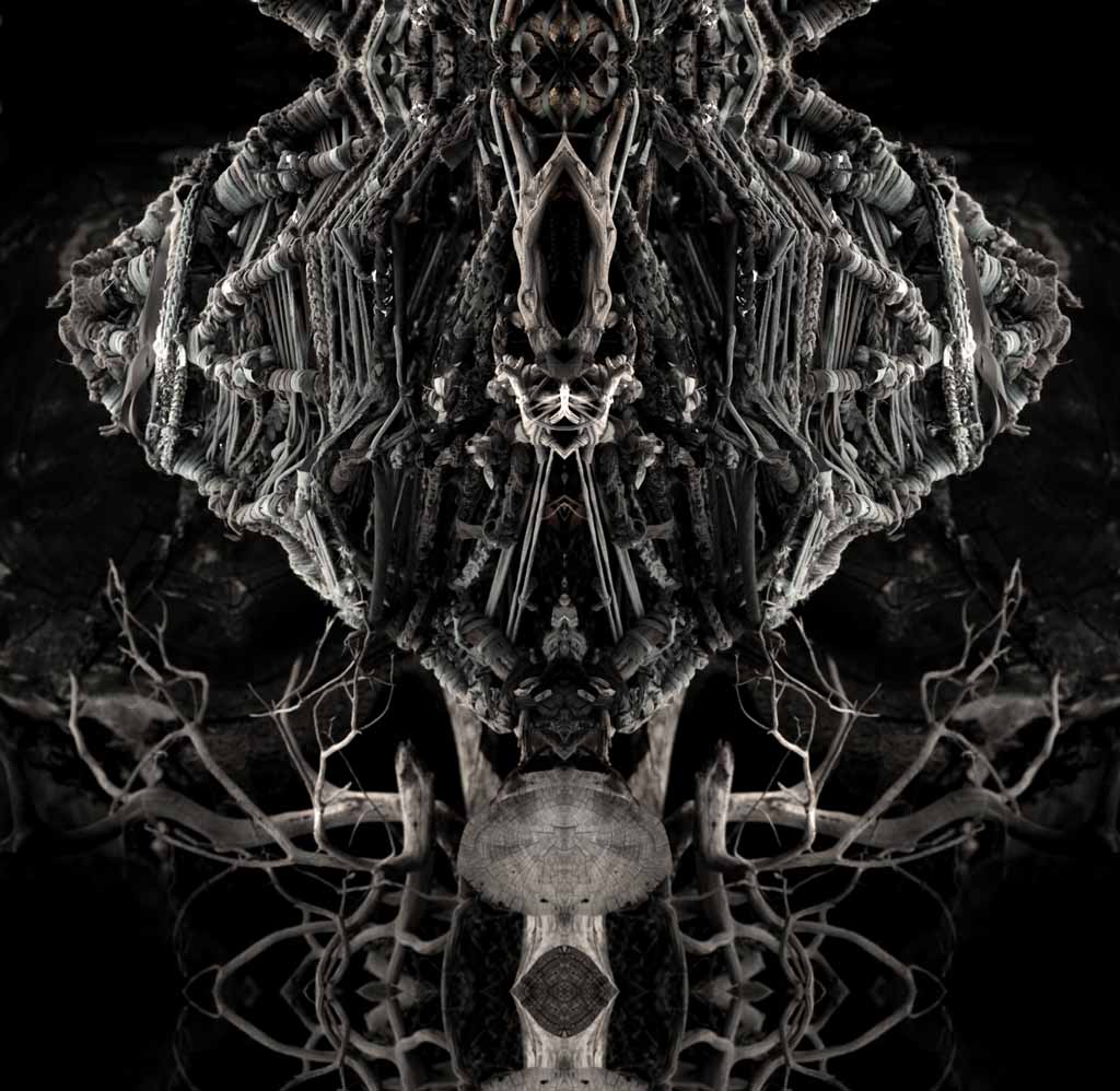hive and root.jpg