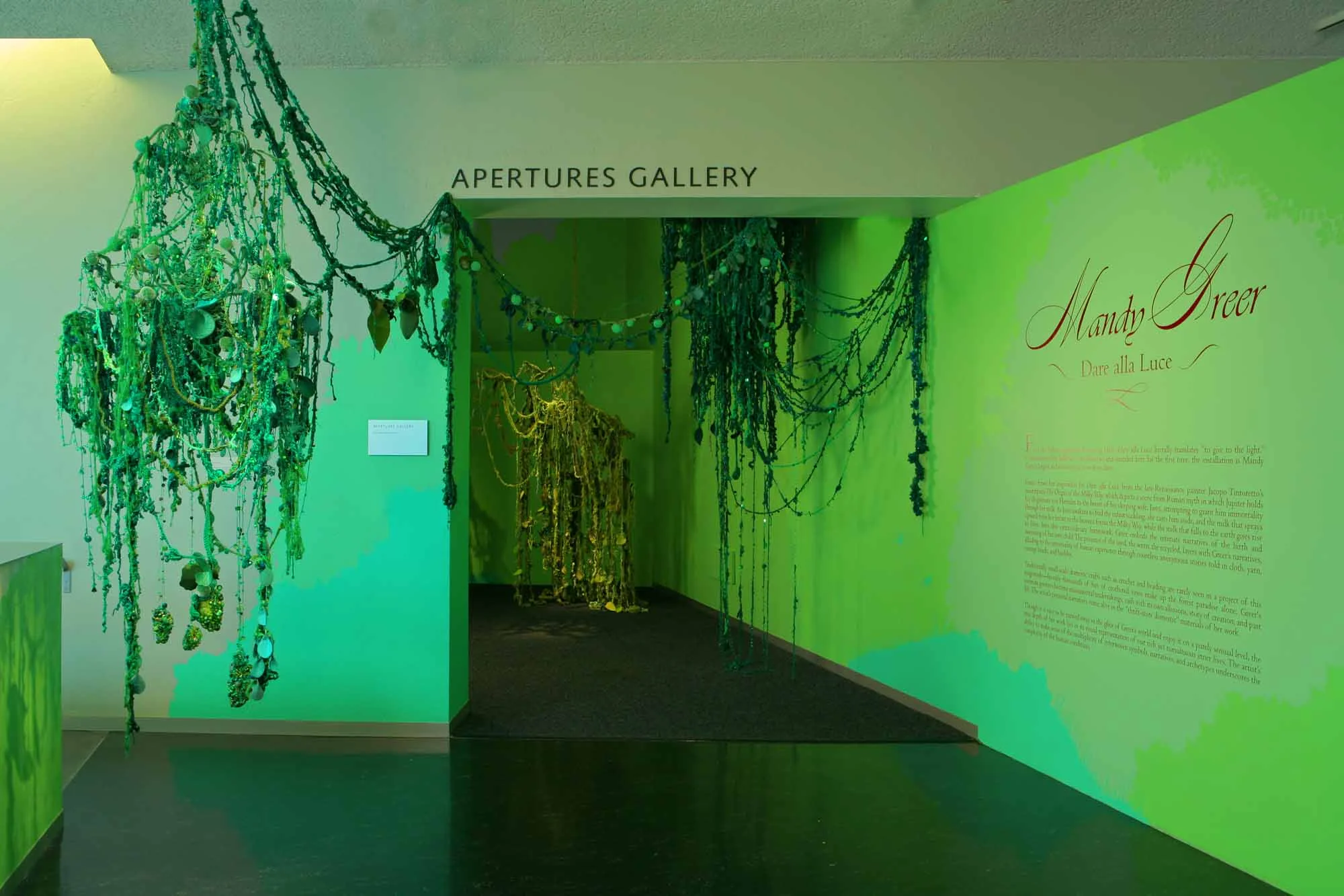 " - BAM, Title wall entrance .jpg