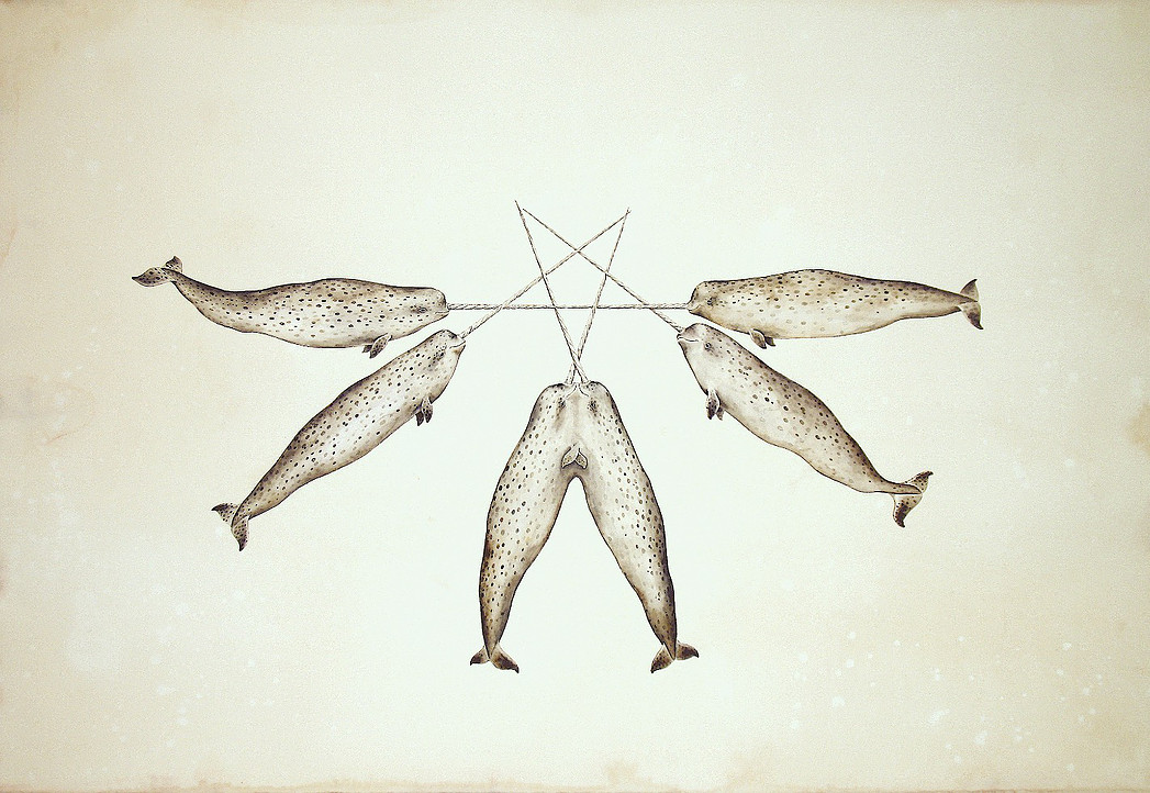 Justin Gibbens , Monodons of the World Unite, 2013