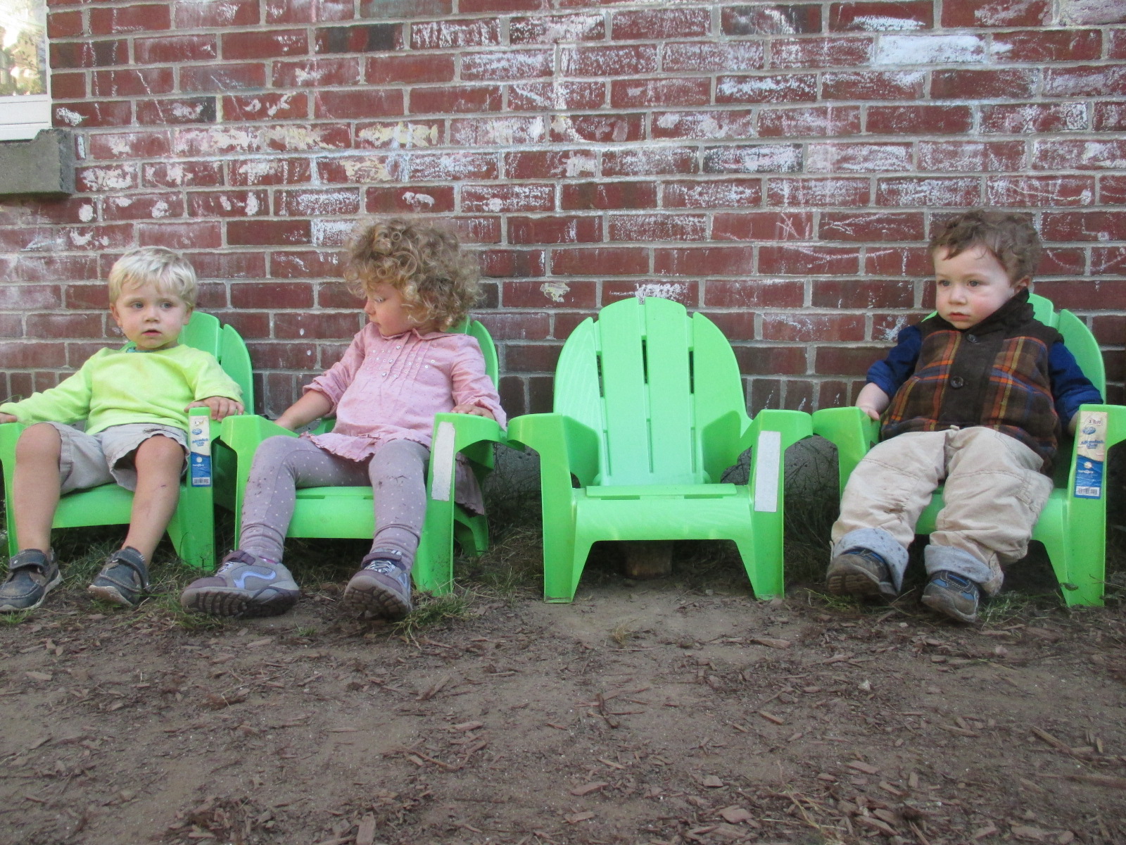 Sagan in Chair.jpg