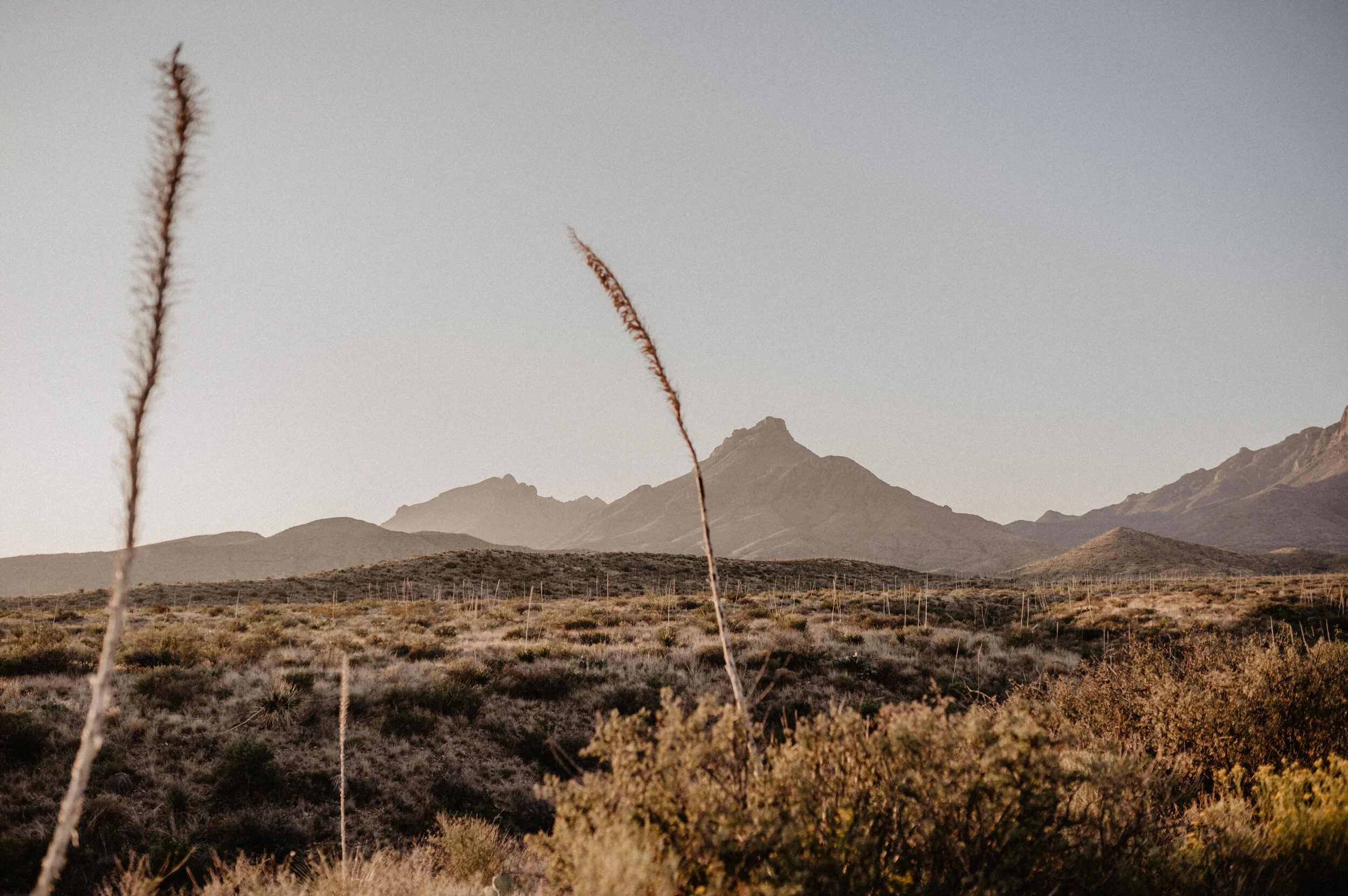 Brianna & Christian - Big Bend National Park - JacquelineDavisonPhotography-27.jpg