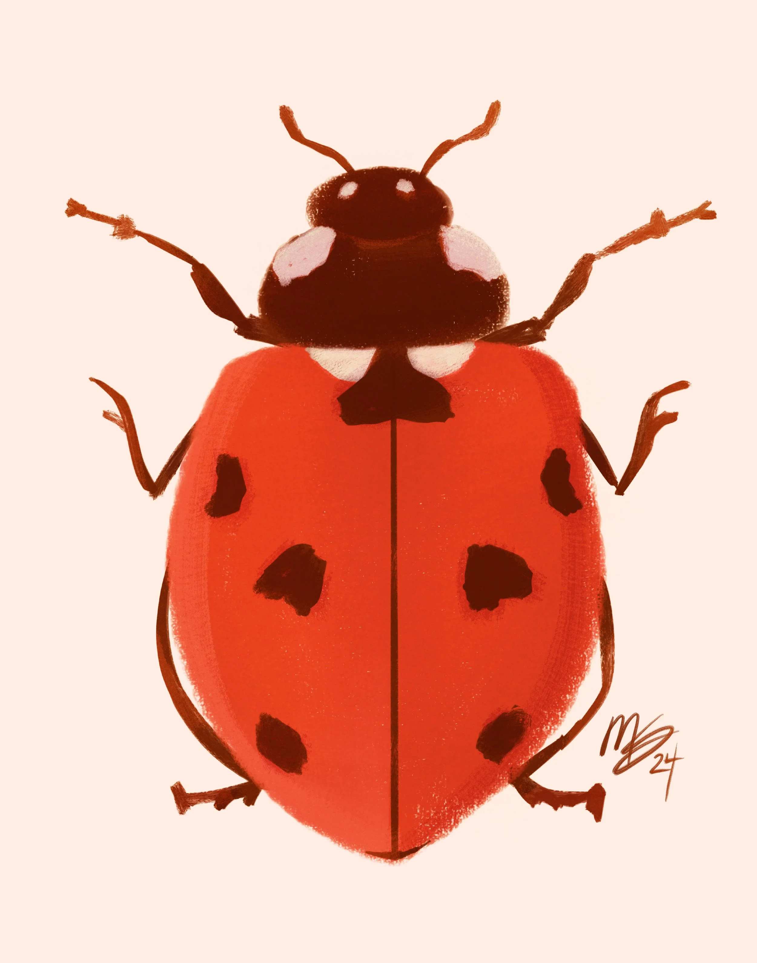 Ladybug.jpg