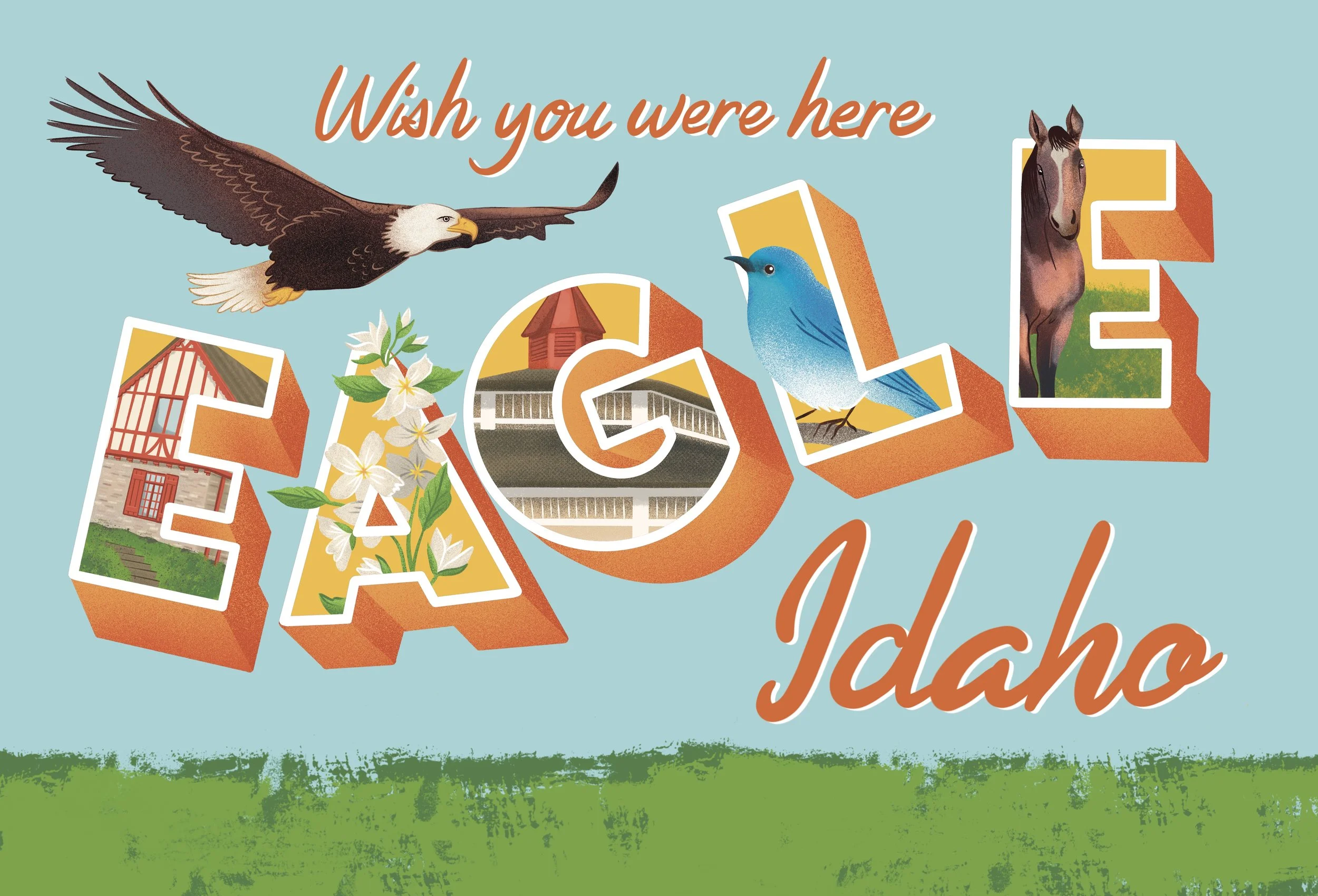 Eagle_Postcard_MeganScheidler.jpg
